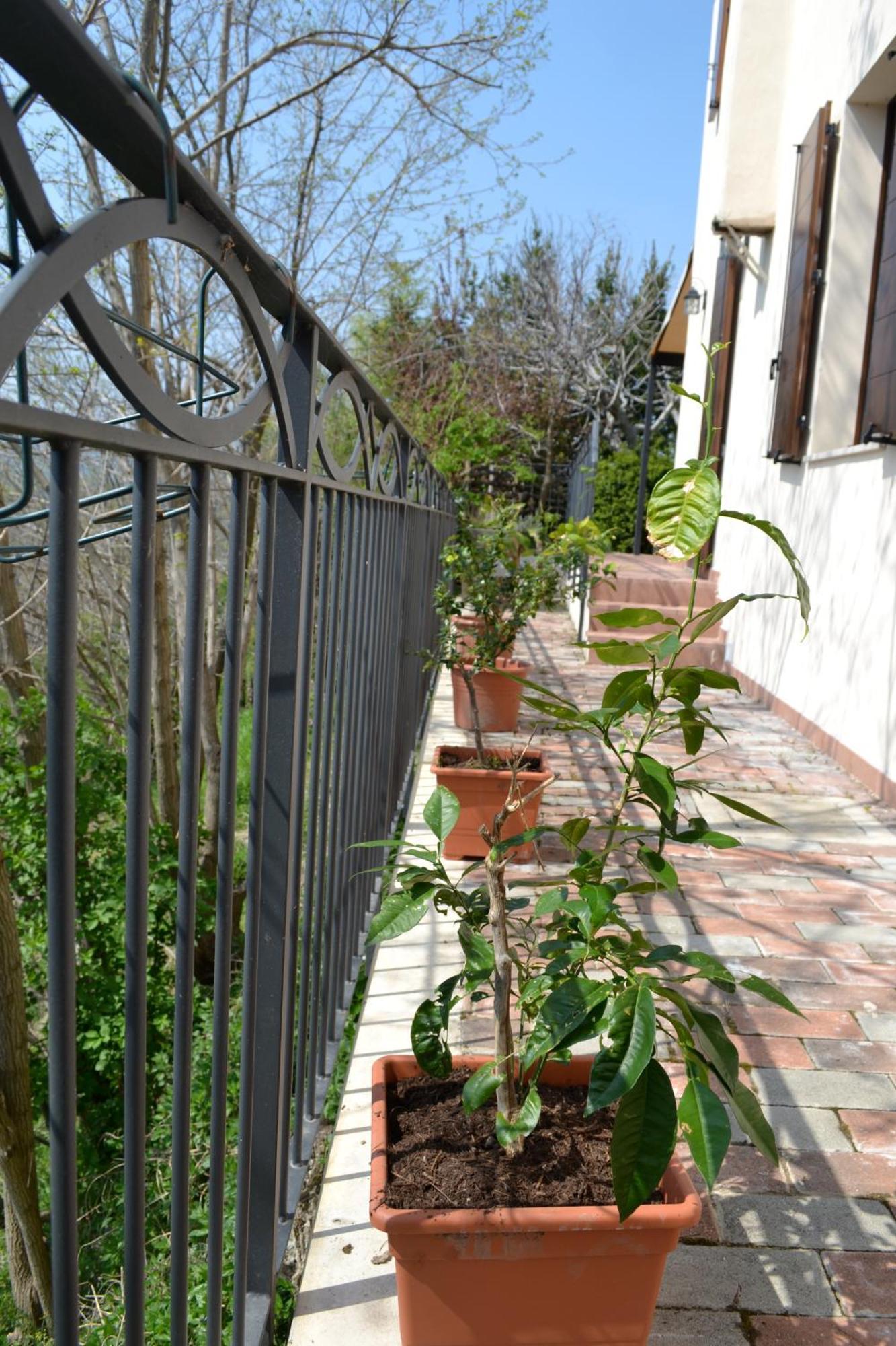 B&B Ca Biocco Sogliano al Rubicone Exterior foto