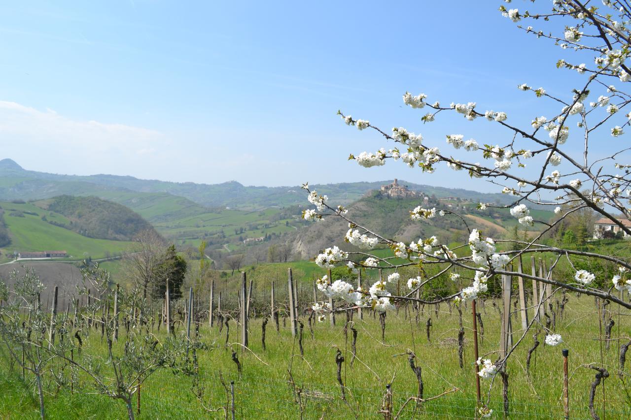 B&B Ca Biocco Sogliano al Rubicone Exterior foto